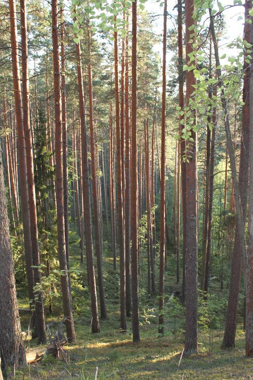 Hotel Kruunupuisto Punkaharju Kültér fotó
